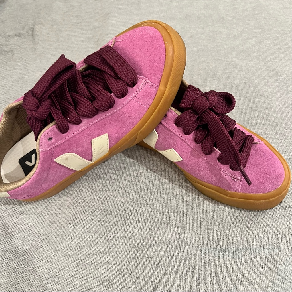 Veja Sneakers With Pink And Tan Accents